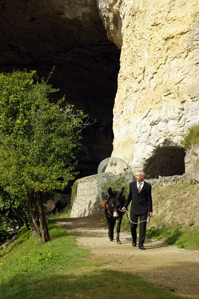 Bruno, l’âne et les papillons